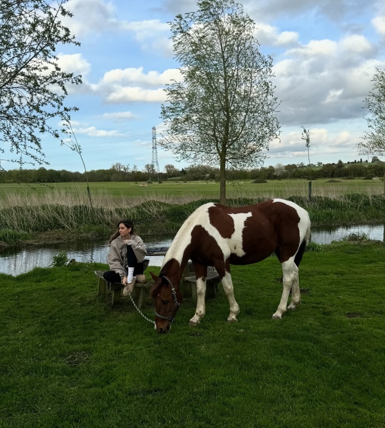 哈弗茨妻子社媒晒视频+发文，悼念去世的爱马：无比思念你