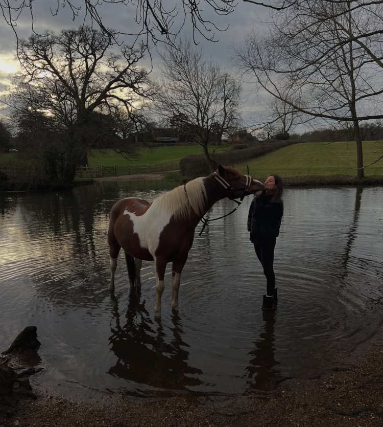 哈弗茨妻子社媒晒视频+发文，悼念去世的爱马：无比思念你