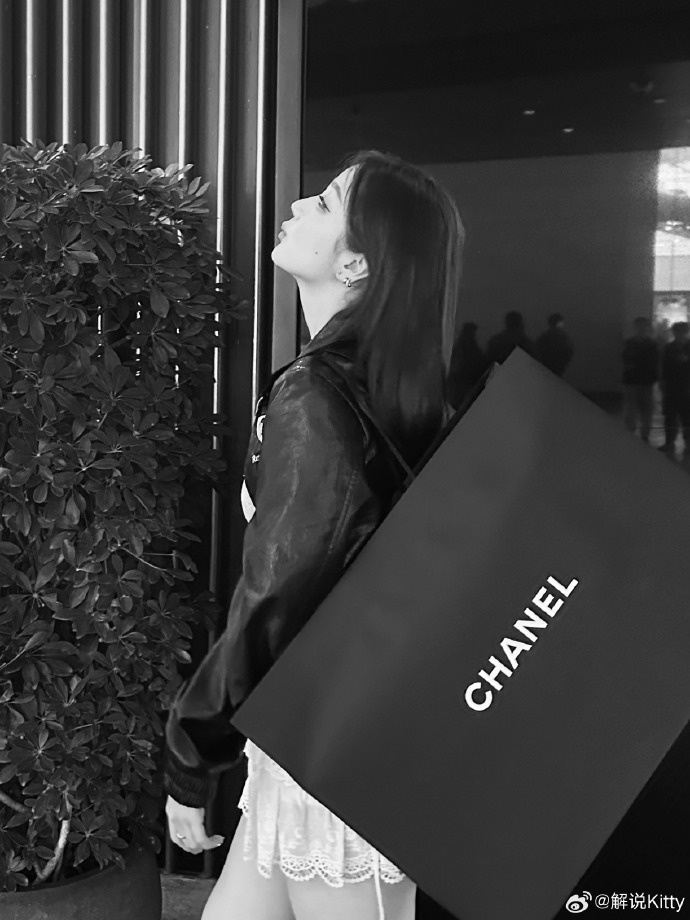 英文流解说Kitty晒照:迷路小猫 /ᐠ ˵> ⩊