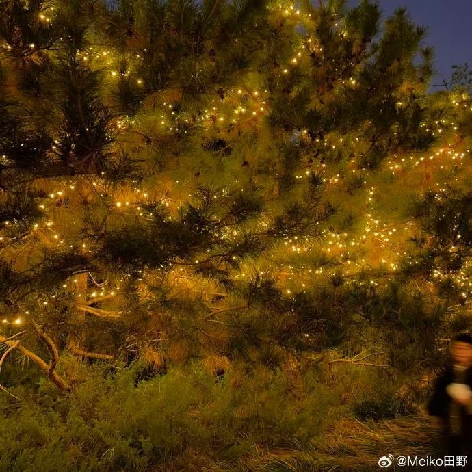 【蜗牛电竞】Meiko晒照:北京霍格沃茨的夜晚真冷 跟老猪合影的猫头鹰就是我