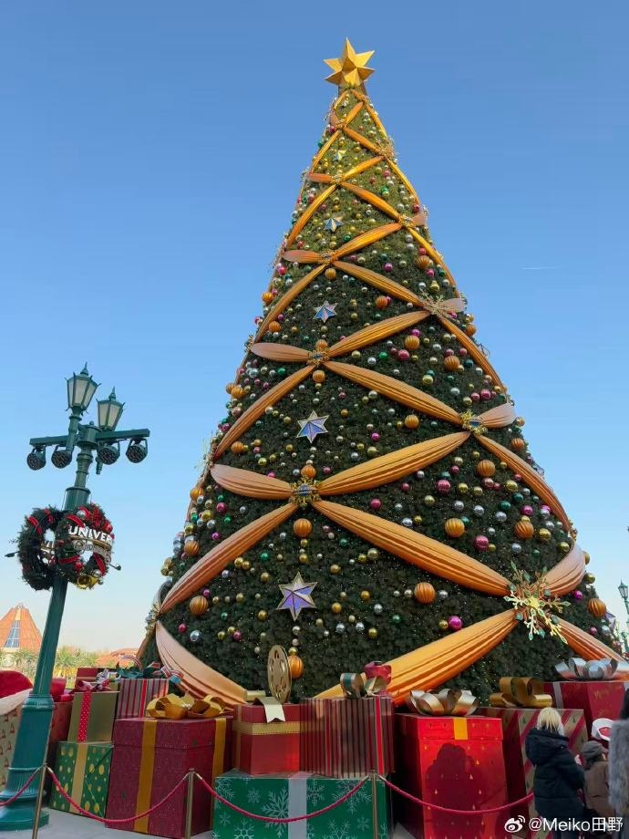 【蜗牛电竞】Meiko晒照:北京霍格沃茨的夜晚真冷 跟老猪合影的猫头鹰就是我