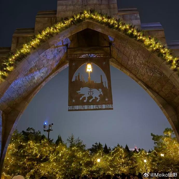 【蜗牛电竞】Meiko晒照:北京霍格沃茨的夜晚真冷 跟老猪合影的猫头鹰就是我