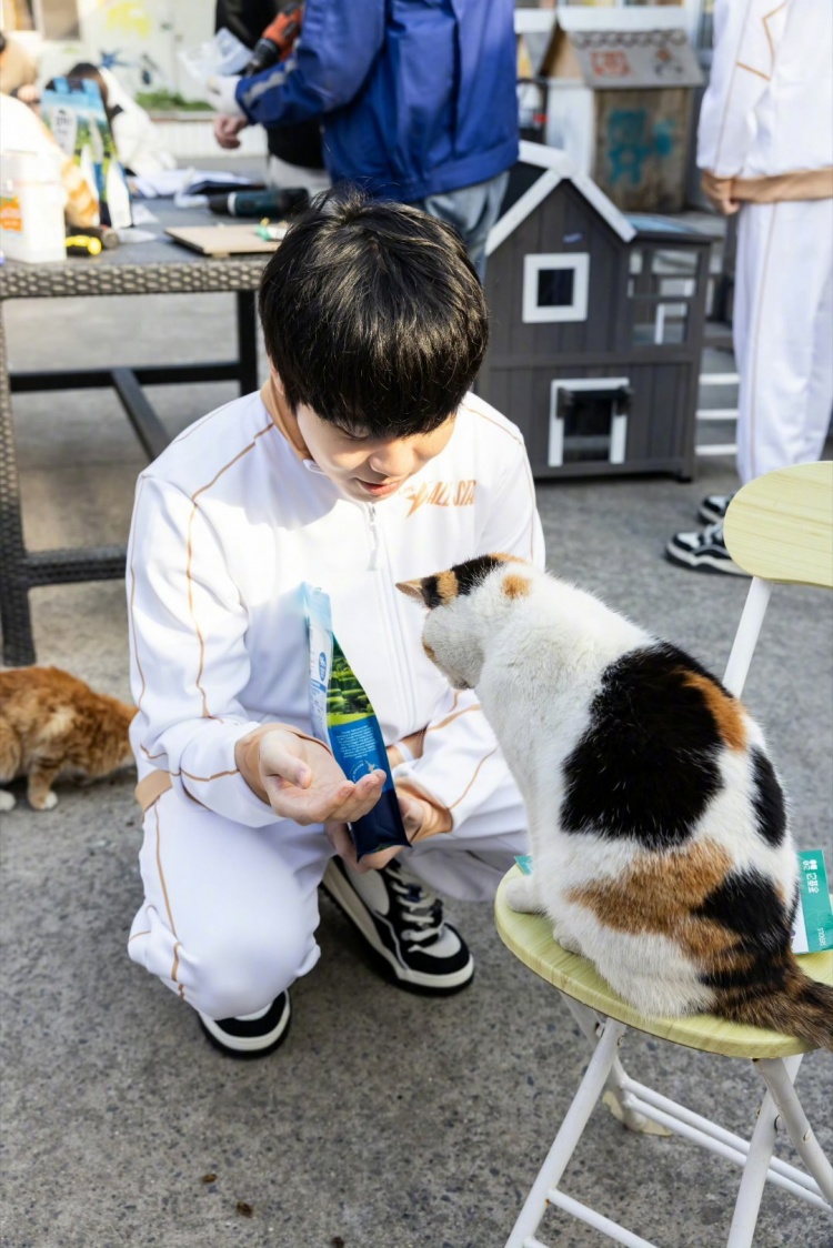 LPL选手分享返图：国际志愿者日，TheShy和Rookie一起搭猫屋