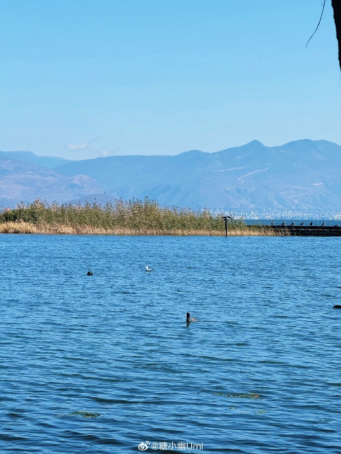 糖小幽分享和doinb旅游照:大理真是个轻而易举能把人留住的地方