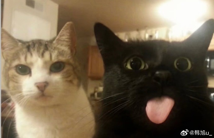 [球迷看点]俺也一样！韩旭晒照：忘带钥匙把自己锁公寓外了 鱼般记忆的女人(图2)