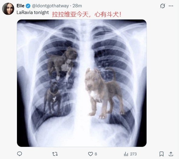 【有趣体育】湖蜜谈球队获胜：拉拉维亚心有斗犬 东契奇罚球机器&但这也是分啊(图2)