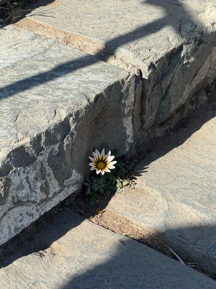 主持唯嘉晒照：在圣母山被日光拥吻，王姐晒成棕色版