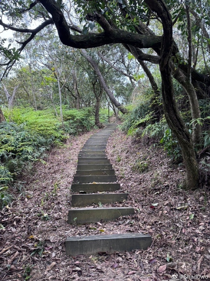 Shad0wo分享生活照：团建爬山日，依旧是体力最差的