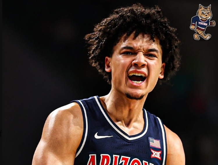 亚利桑那淘汰阿肯色晋级8强 伯里斯23分5板2助 皮特21分3板2助