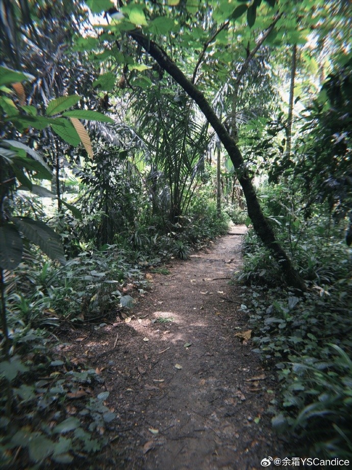 主持人余霜分享生活照片:走两步