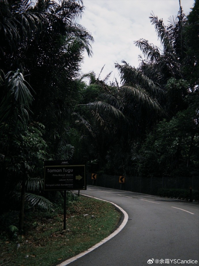 主持人余霜分享生活照片:走两步