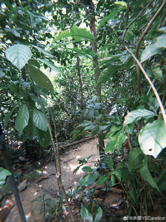 主持人余霜分享生活照片:走两步