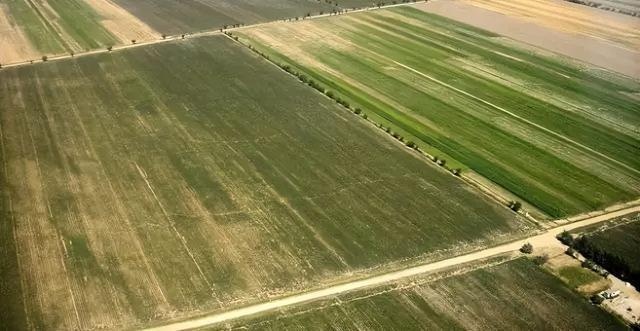 【球迷报道】世界杯地理学堂：乌兹别克斯坦，第一支晋级世界杯的亚洲内陆国(图9)