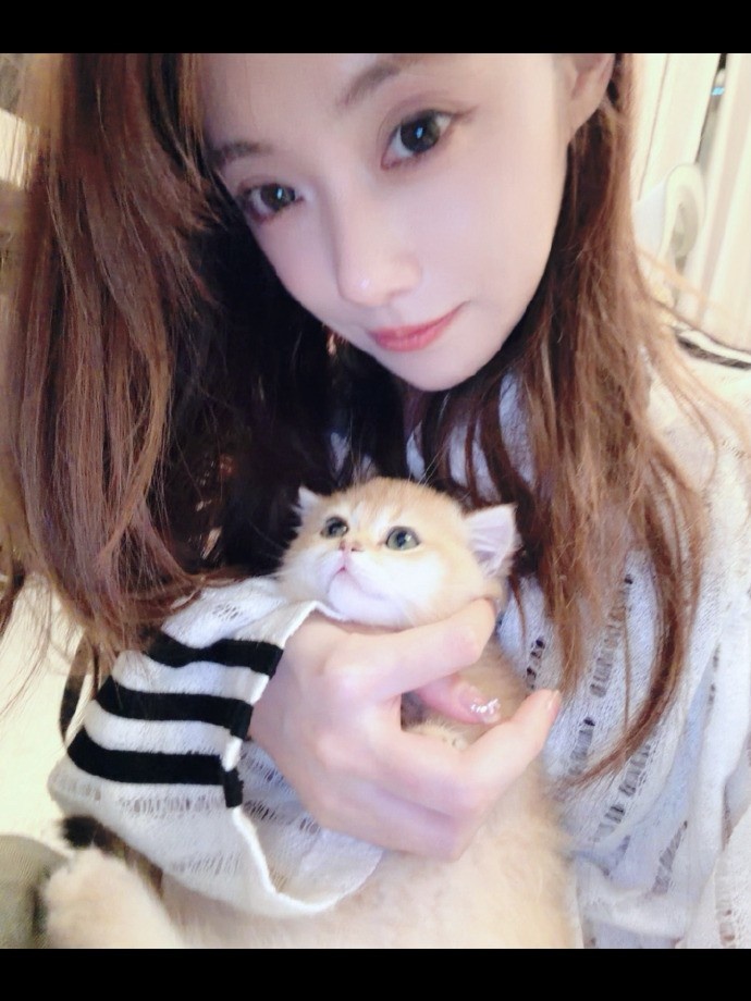 【万博电竞】主持人小钰分享日常照片：如何呢 一位小猫中毒患者罢了