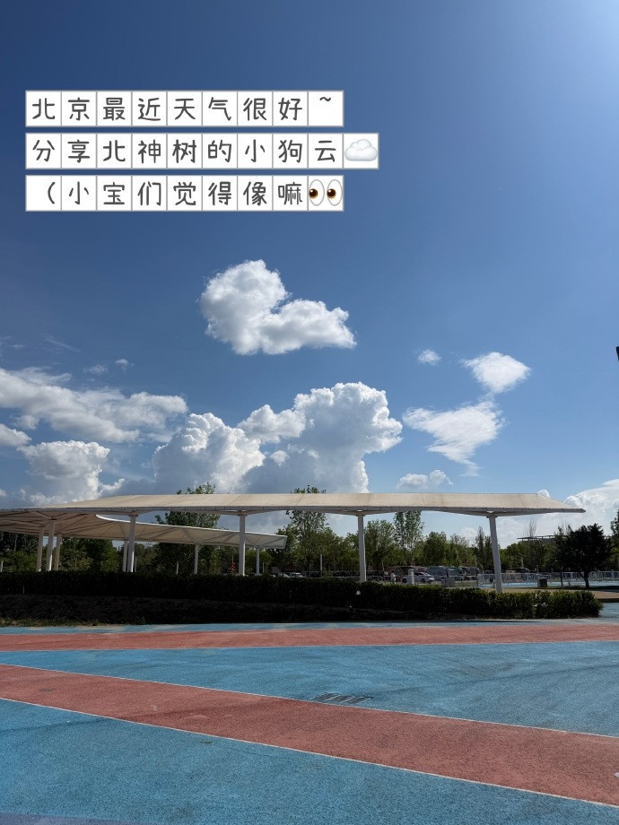 JDG分享队员五月日常照片:好天气、纪念日、比赛都是时光机