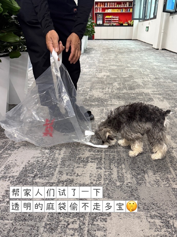 JDG分享队员五月日常照片:好天气、纪念日、比赛都是时光机