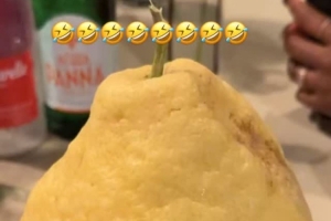 昨夜湖人关键球解析