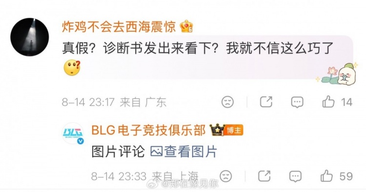 【万博电竞】网友质疑Wenbo摔伤真实性 BLG官方直接甩出诊断书打破阴谋论