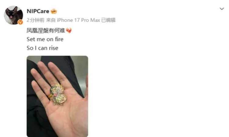 Care:凤凰涅槃有何难🐦🔥Set me on fire,So I can rise
