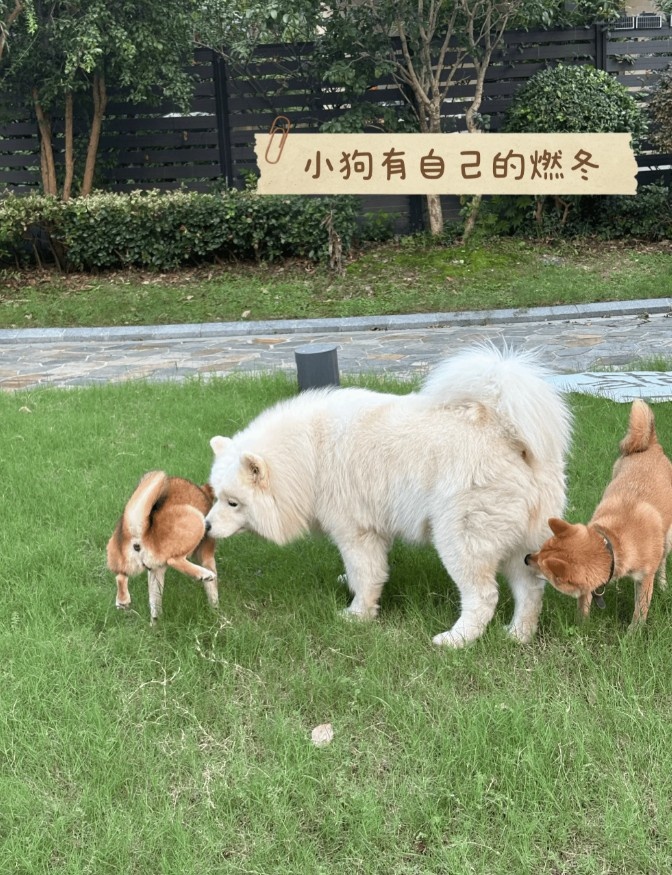 AL分享选手趣事:Shanks借用Hope眼药水,Hope要价50