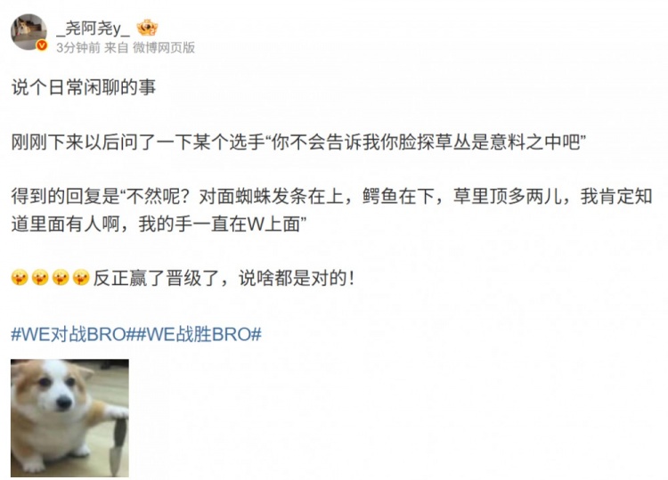 脸探草是计划?Monki解惑:不然呢?草里顶多两人 我捏着W的!