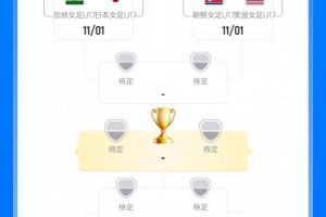 U17女足世界杯8强对阵：中国vs巴西11月2日2点进行 朝鲜vs美国