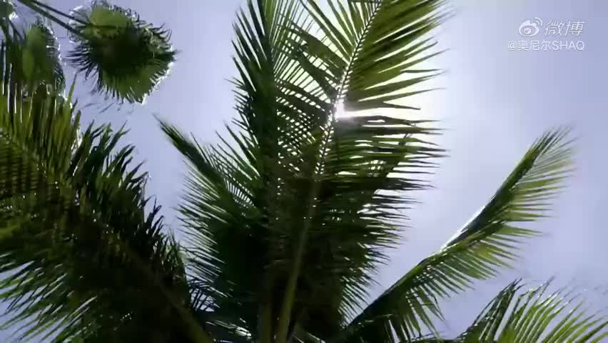 奥尼尔晒海边别墅的休闲生活 这是他的鲨鱼世界