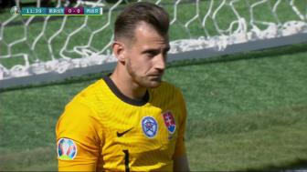 欧洲杯-西班牙5-0斯洛伐克第二出线 杜布拉夫卡送礼萨拉维亚造3球