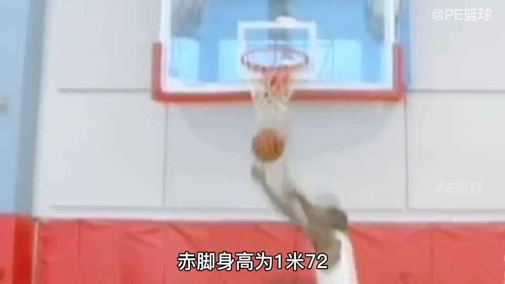 内特-罗宾逊体测数据&选秀报告 身高175模板韦伯