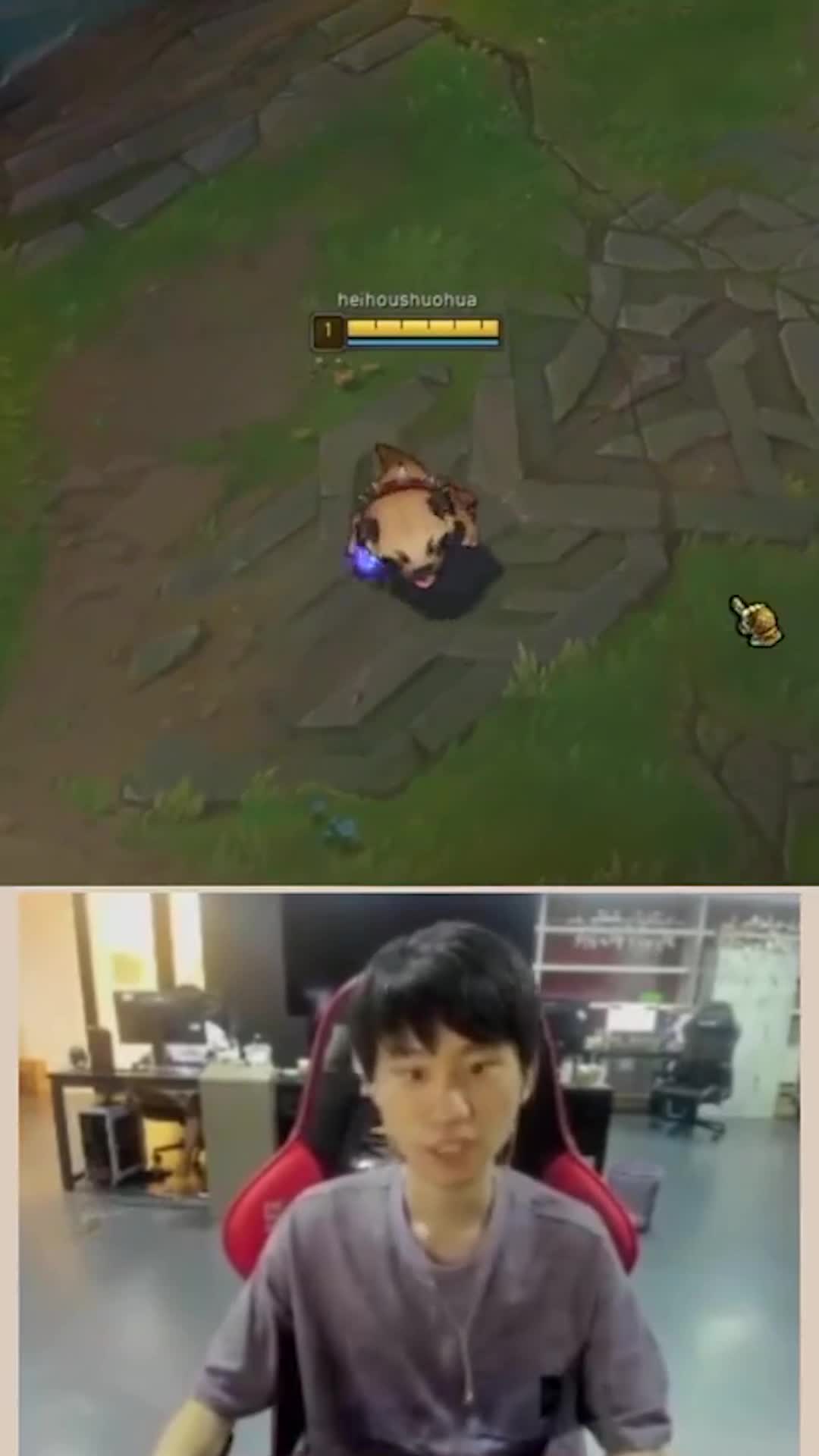 doinb撞脸猴子图片,doinb猴子笑照片 doinb从猴子进化成狗狗了!