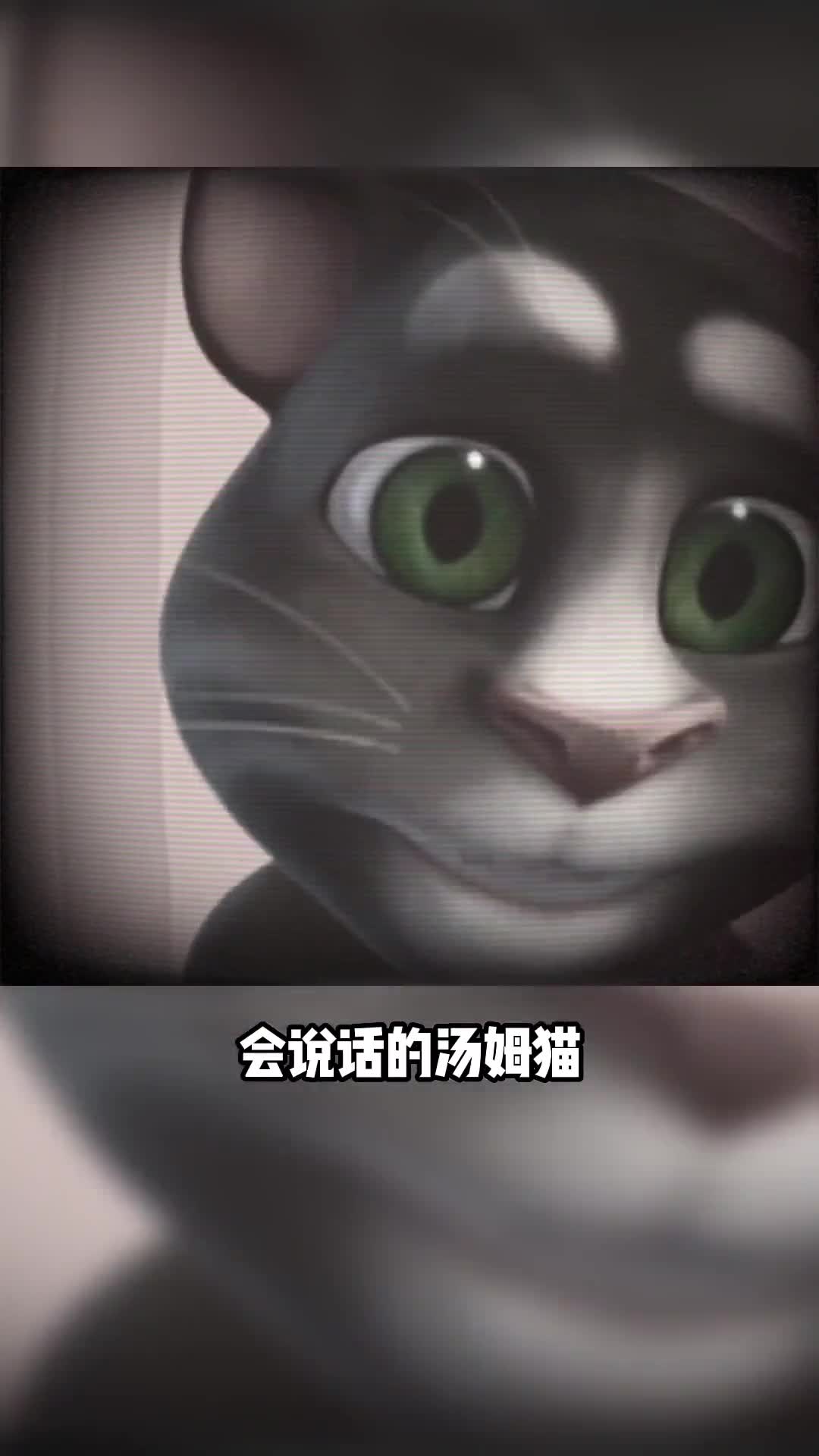 你敢相信吗？汤姆猫也有恐怖故事！