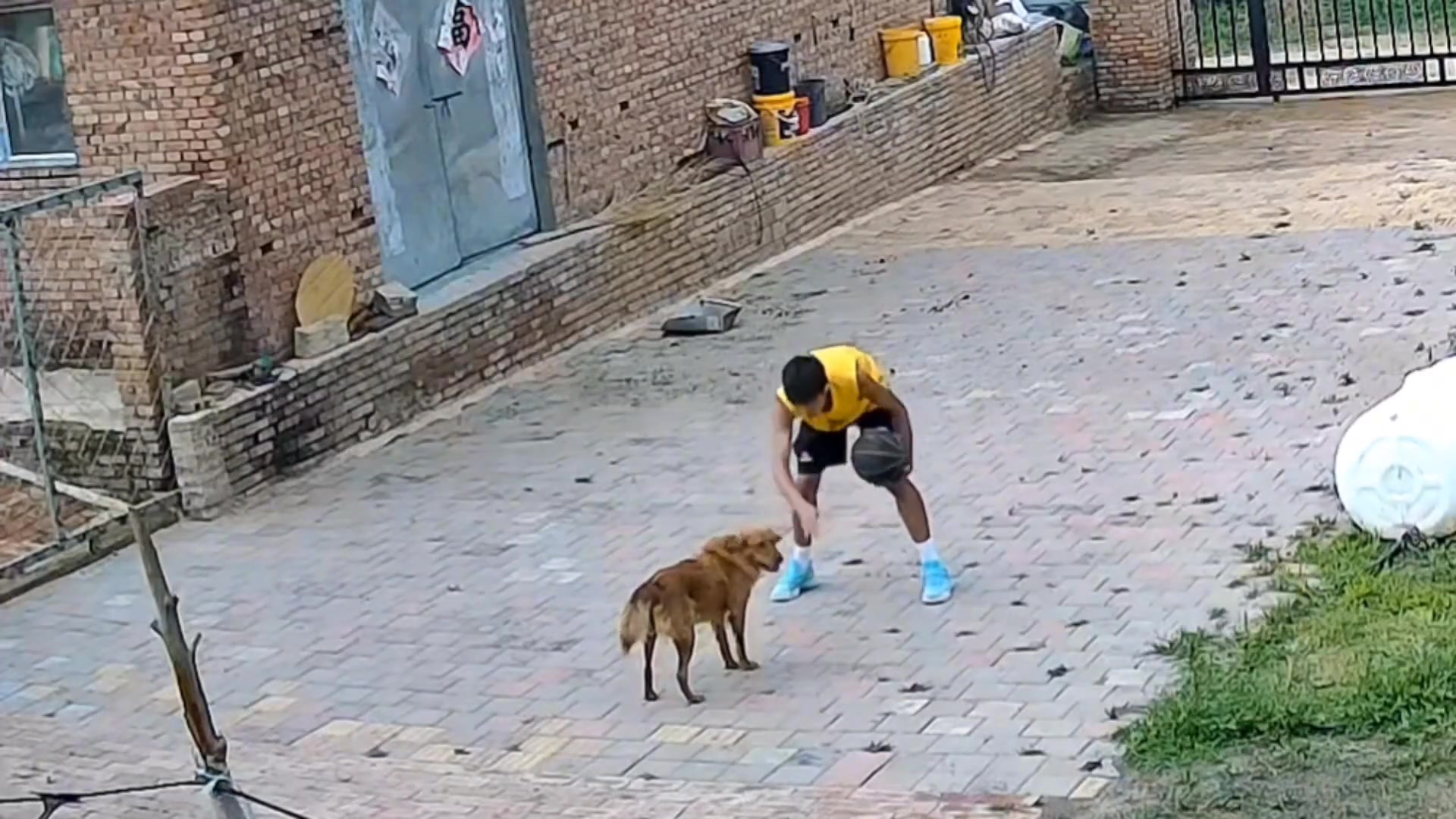 别把防守逼急了给你来个恶犯