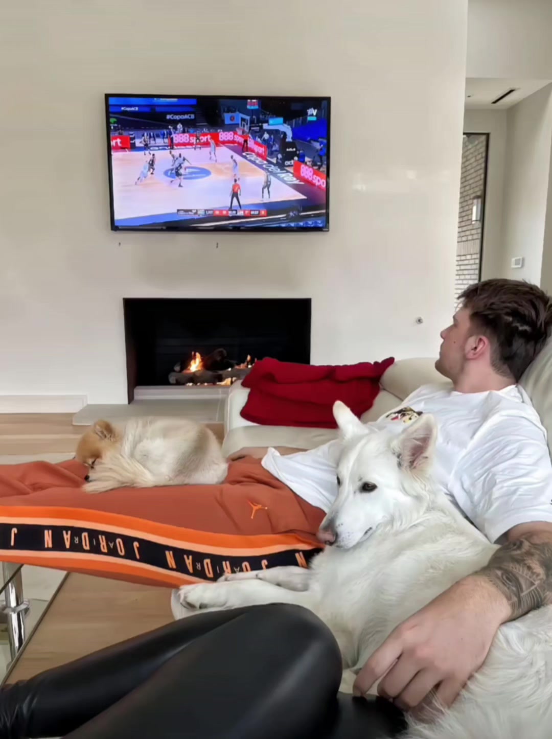 东契奇和老婆爱犬一起看球赛 不知道的还以为在看CBA