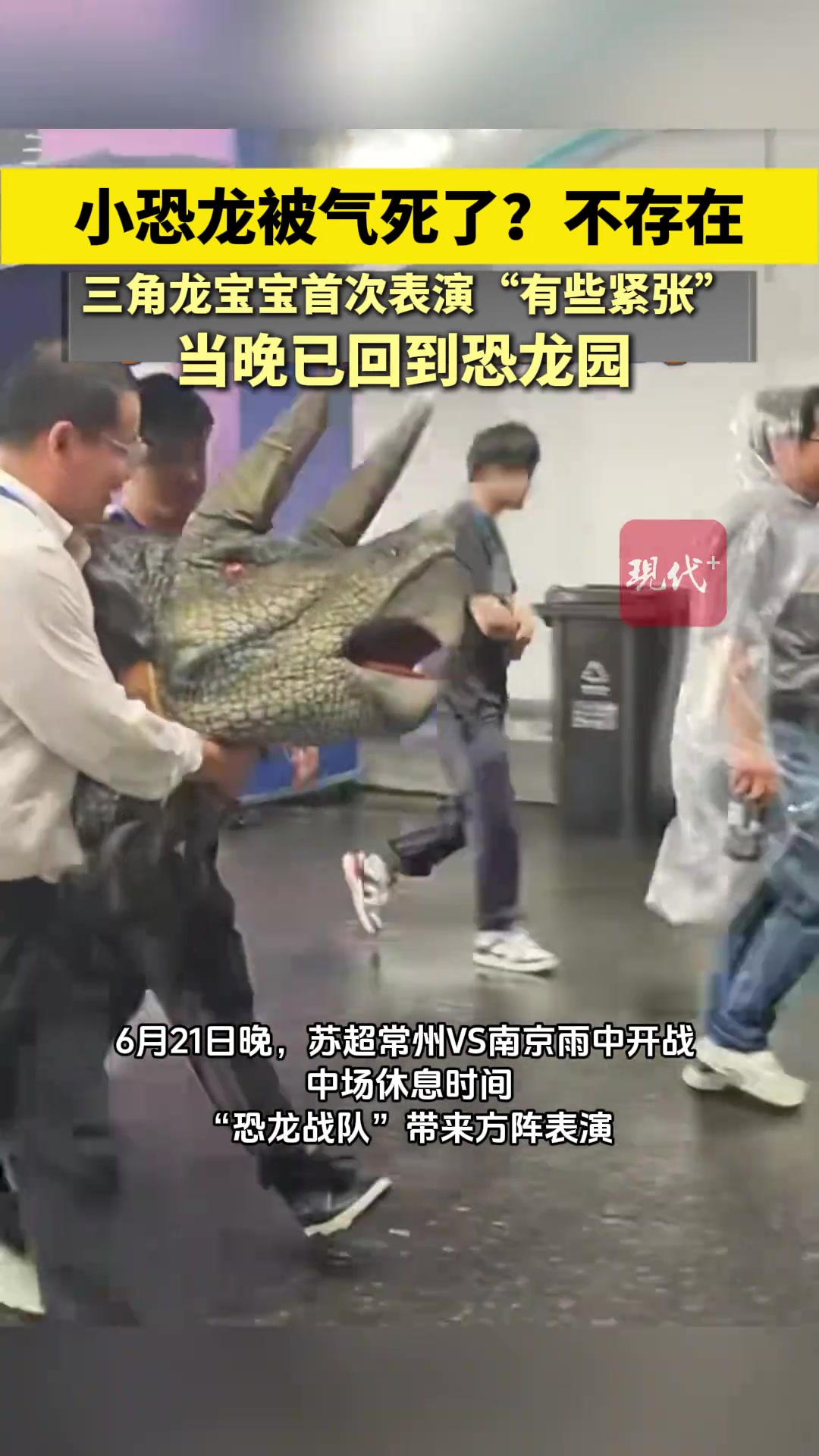 小恐龙被常州气死了？不存在。三角龙宝宝首