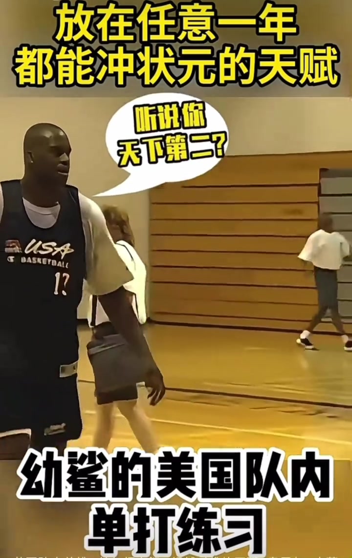 放在历史任意一年都能冲状元？幼鲨在美国男篮队内单打视频