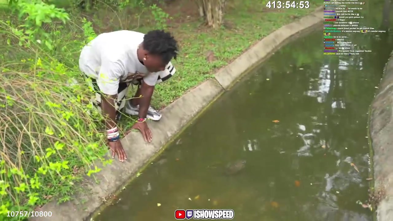抽象！甲亢哥对着水沟里的乌龟竟然大喊“姆巴佩！”