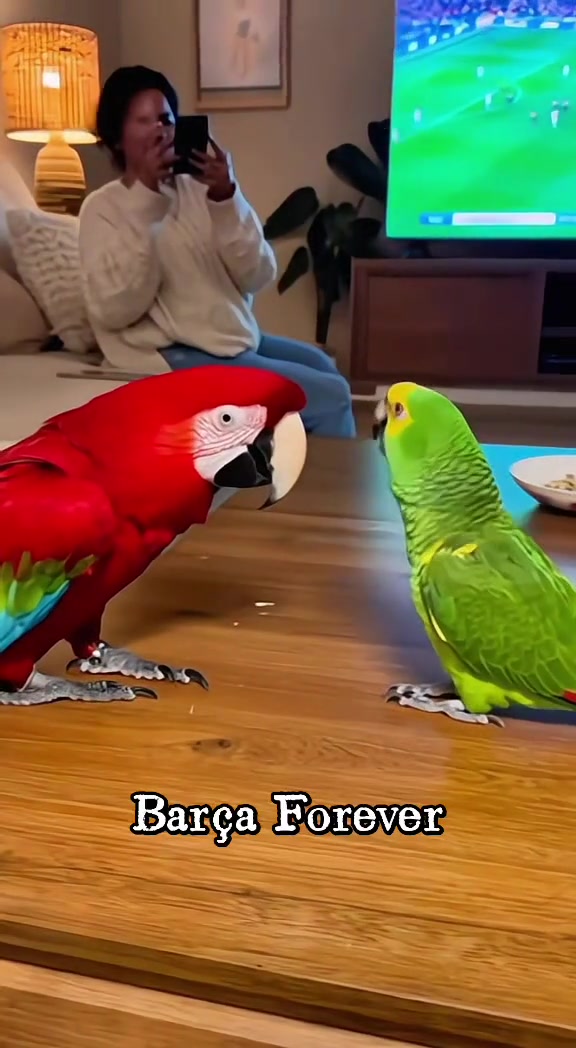 逆天！这两只鹦鹉怎么培养成皇马和巴萨球迷的，养鹦鹉的是个人才