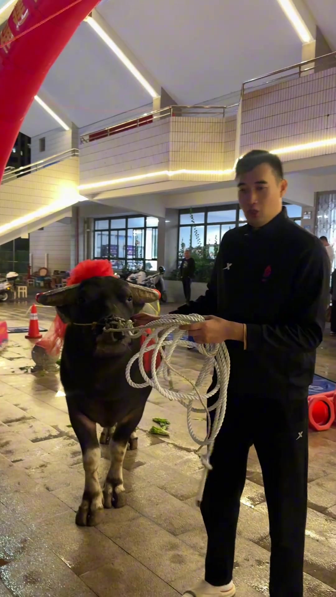 兄弟们，又又又拿冠军了！