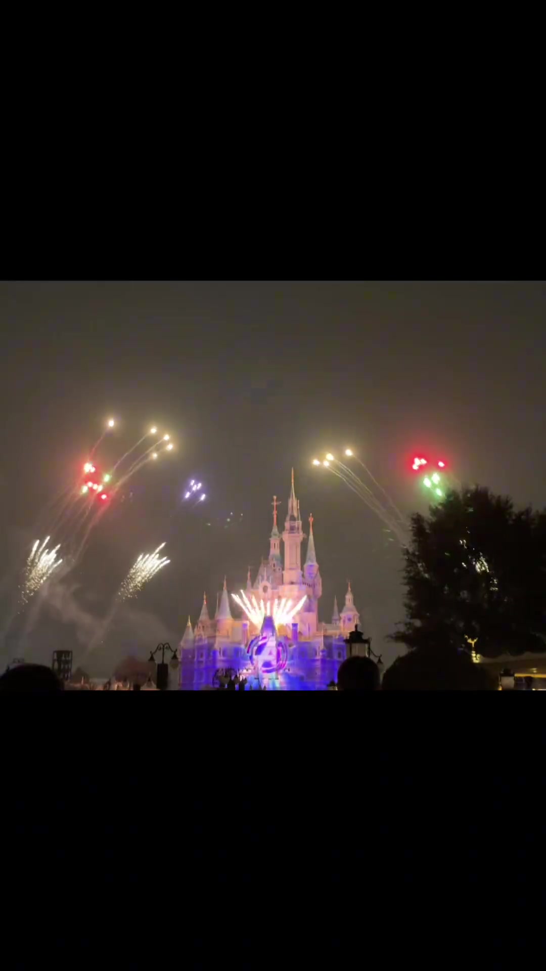 AL接近全员续约？五人组打卡上海迪士尼