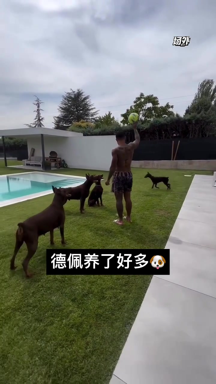 德佩在自家院子养了五条大型犬啊！这看着像杜宾犬！