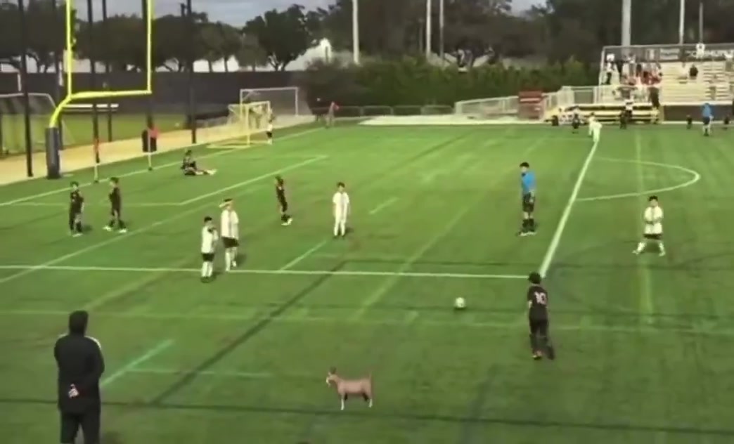 有你爹风范！梅西三儿子任意球直接破门