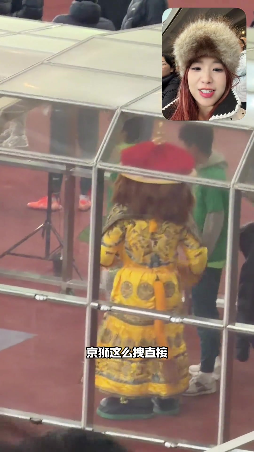 帝都吉祥物！实拍：国安京狮“黄袍加身”庆祝足协杯冠军