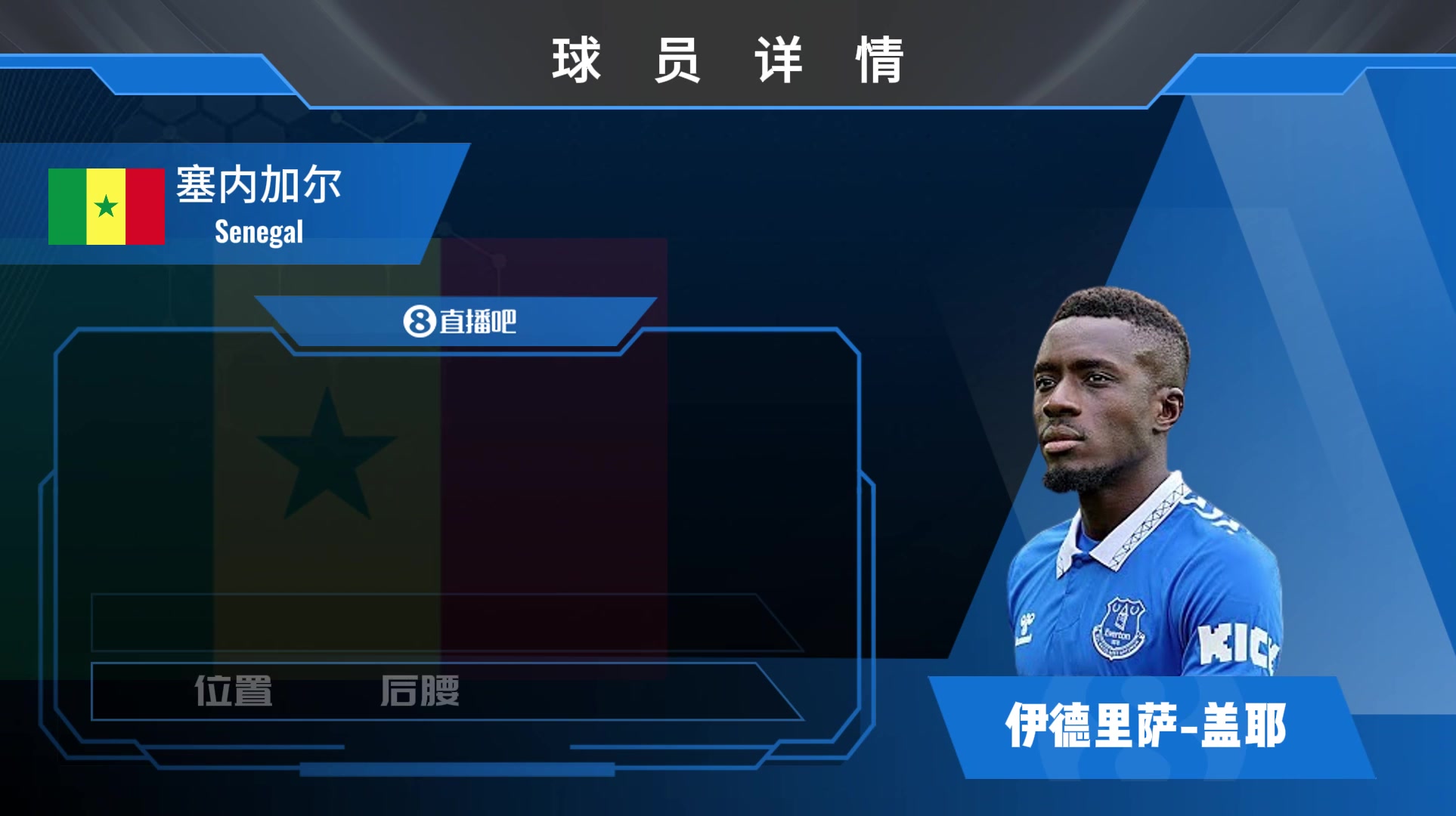 埃弗顿中场盖耶集锦：比赛经验丰富，抢球凶狠的防守型中场