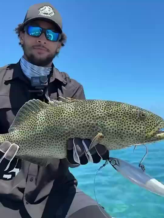 没想到真要转行钓鱼啊本·西蒙斯今年夏天曾晒出海钓的收获！