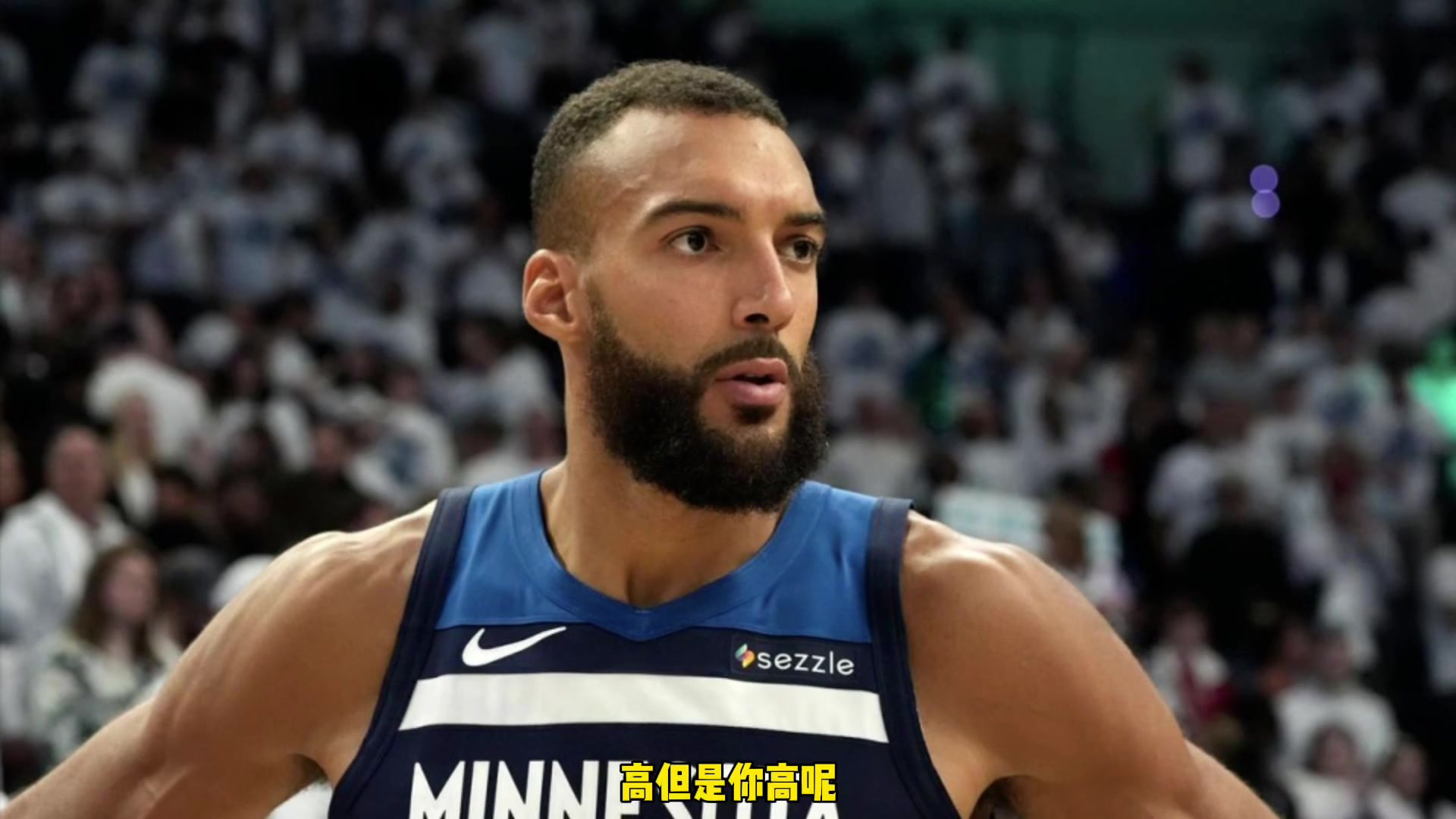 杨毅曾言：姚明最喜欢打的就是戈贝尔那样的，没我高体重也没我重