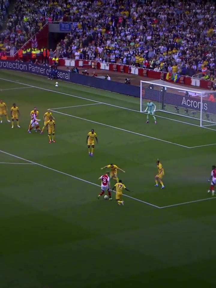 一切尽在不言中！厄德高的帅气混剪！