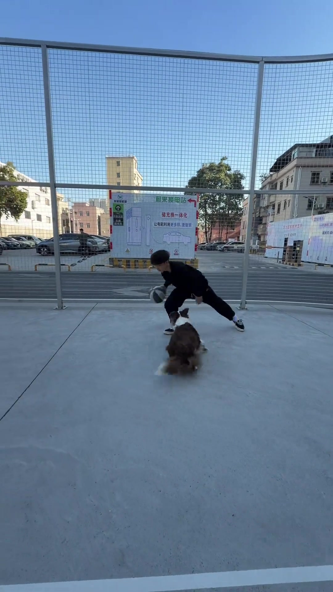 只能说我兄弟防守还不如狗