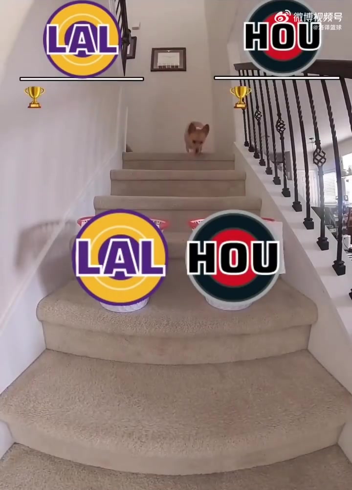 G1湖人先下一城！此前网红小狗预测：湖人4-3淘汰火箭