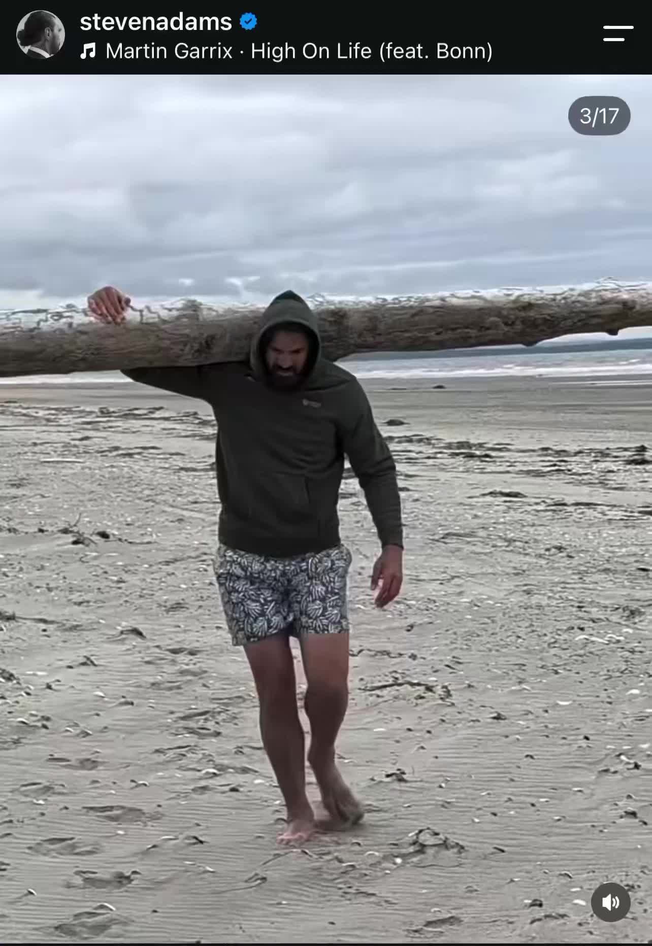 你真是海王啊？！亚当斯扛着一棵树走路，跟没事人一样~