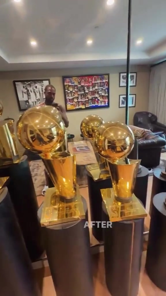 韦德炫耀NBA生涯所拿到的荣耀 【篮球高清短视频】
